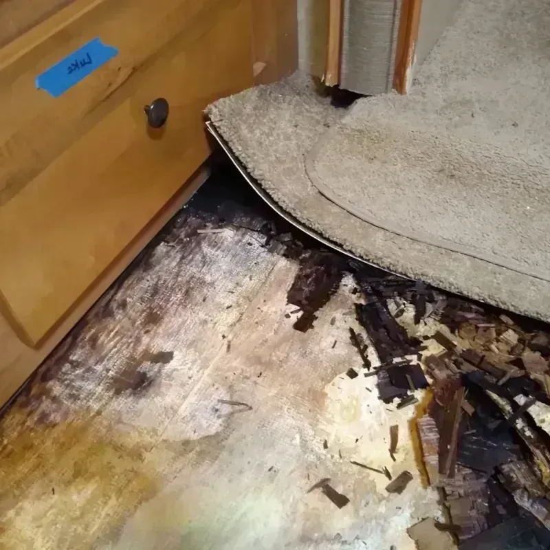 Wood Floor Water Damage in Avery Creek, NC